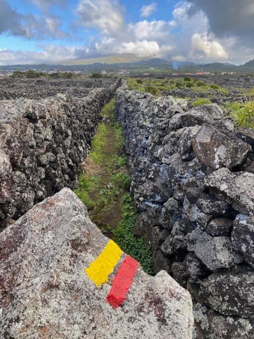 Pico Island Villas Madalena  Luaran gambar